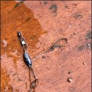 어의곡낚시터 이미지