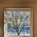 화서지몽 이미지