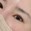 파니브로우
