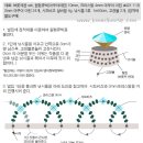 보물하우스 이미지