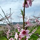 선아농장 이미지