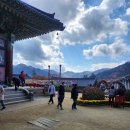 율리공인중개사사무소 이미지