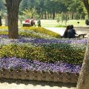 총신대학교 사회복지대학원 이미지