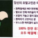 퀸즈헤나교실 이미지