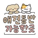 퐁이네 애견 이미지