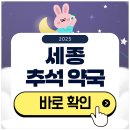 세종약국 | 세종 추석 문 여는 약국 찾기 2025