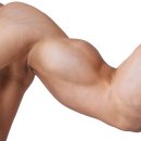 ATOZ피티샵 이미지