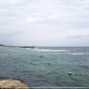 장안바다향 이미지