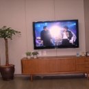 행복을주는나무 이미지