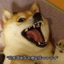 안채한정식 이미지