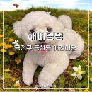 시흥대로148길 | 금천구 독산동 애견미용 해피댕댕 말티숑 가위컷