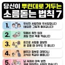 인생은 해답을 찾는 것이 아니라 의미를 이미지