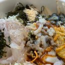 일산물회