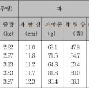 포도나무재배 이미지