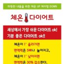 가온나무 이미지