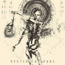 PESTER THE PURE - s/t {2013, full e.p., HQ} 이미지