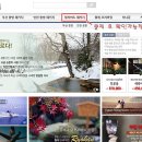찰리정투어주 이미지