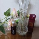 여름에도 촉촉하고 탄력있는 피부 위한 <b>보니</b><b>앤제이</b> 플라레세타 콜라겐 앰플