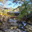 태안사계곡 | 곡성 태안사를 다녀왔다