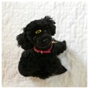 에이미펫 이미지