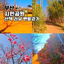 지금부터 한 걸음 도심 속 러닝 | 부산시민공원 동백꽃 개화 산책 맨발걷기와 러닝하러 가볼만한곳