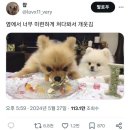 내가 좋아하는 건 여름 현기증 냄새