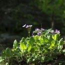 동네놀이터 이미지