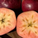 민화(전통) 이미지