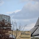 동원환경(1농장) | [대전] 한밭수목원 : 열대식물원 다육식물원 곤충생태관 대전 여행 당일치기 실내데이트