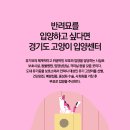 팜랜드동물병원 이미지