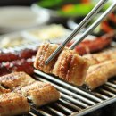 힘센 민물장어 이미지