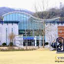 나무테크.나무야 이미지