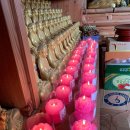 부적초등학교 이미지