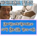 보라매동-30 | 바디프랜드 팔콘S 최저가 안내 / 온라인에서 최저가에 또 속는 당신에게..