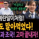 윤석열 계란말이처럼 대한민국도 말아먹었다! / 광장에 선 이재명과 조국! 고마 끝내자! 이미지