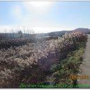 고천보건진료소 이미지