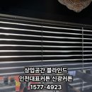 신광미용실 - 포천시 | 신광미용실