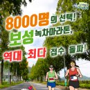 보성공설운동장 이미지