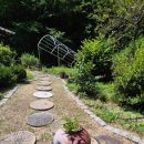 예술가들이 머무는 시선 이미지