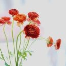 아름다운삶 이미지