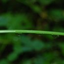 검바위약수터 이미지