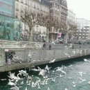 백록담한의원 이미지