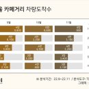 11월카페 이미지