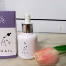 르사(LSA) 이미지