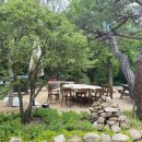 일산동구치매안심센터 이미지