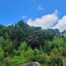 대황한우 이미지