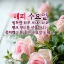 수요일 - 종로구 인사동길 36 | 수요일