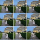 뽑아부러 이미지