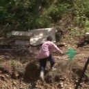 핏다이어트캠프 이미지