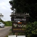 제주 아침미소목장 제주여행 아이랑 가기 딱 좋은 곳